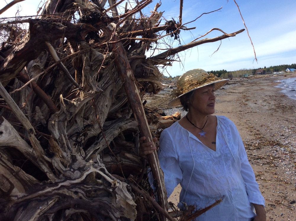 Photo de Martine Morais Matteau